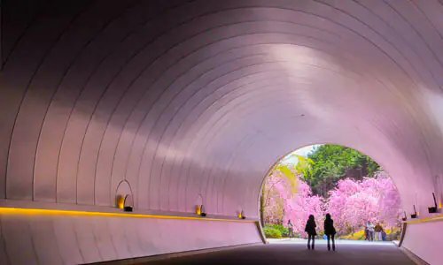 🏛️ 미호 미술관 (미호 뮤지엄) 이미지 1